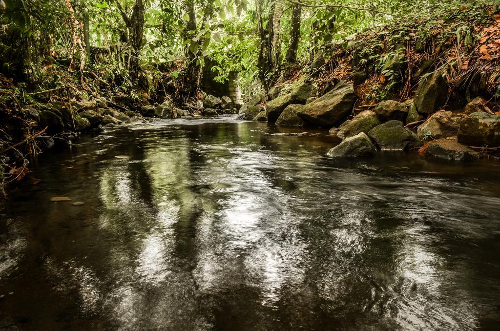 Hostel Rio Danta La Fortuna Dış mekan fotoğraf